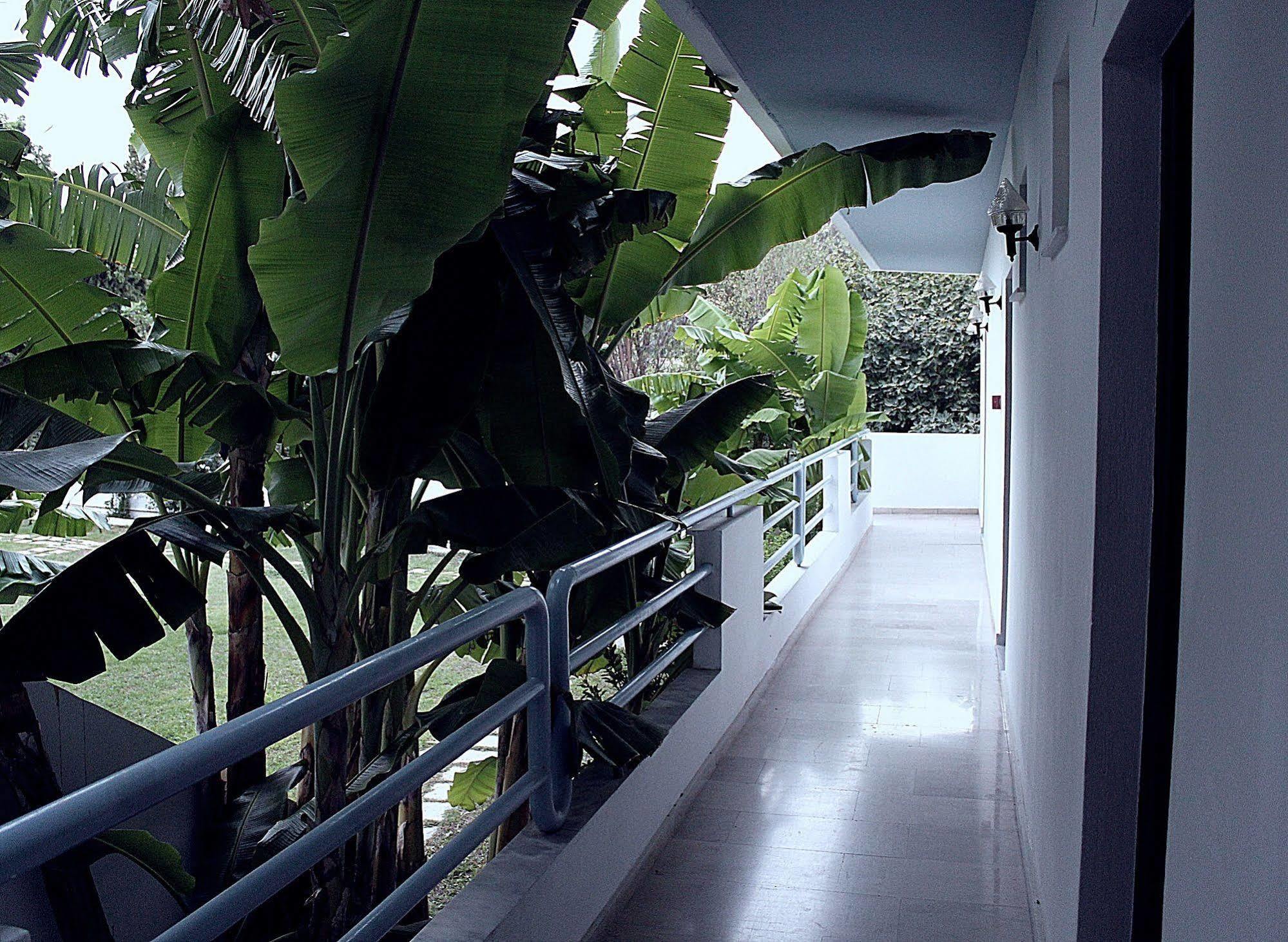 Elga Hotel & Apartments Kardamena  Exterior photo